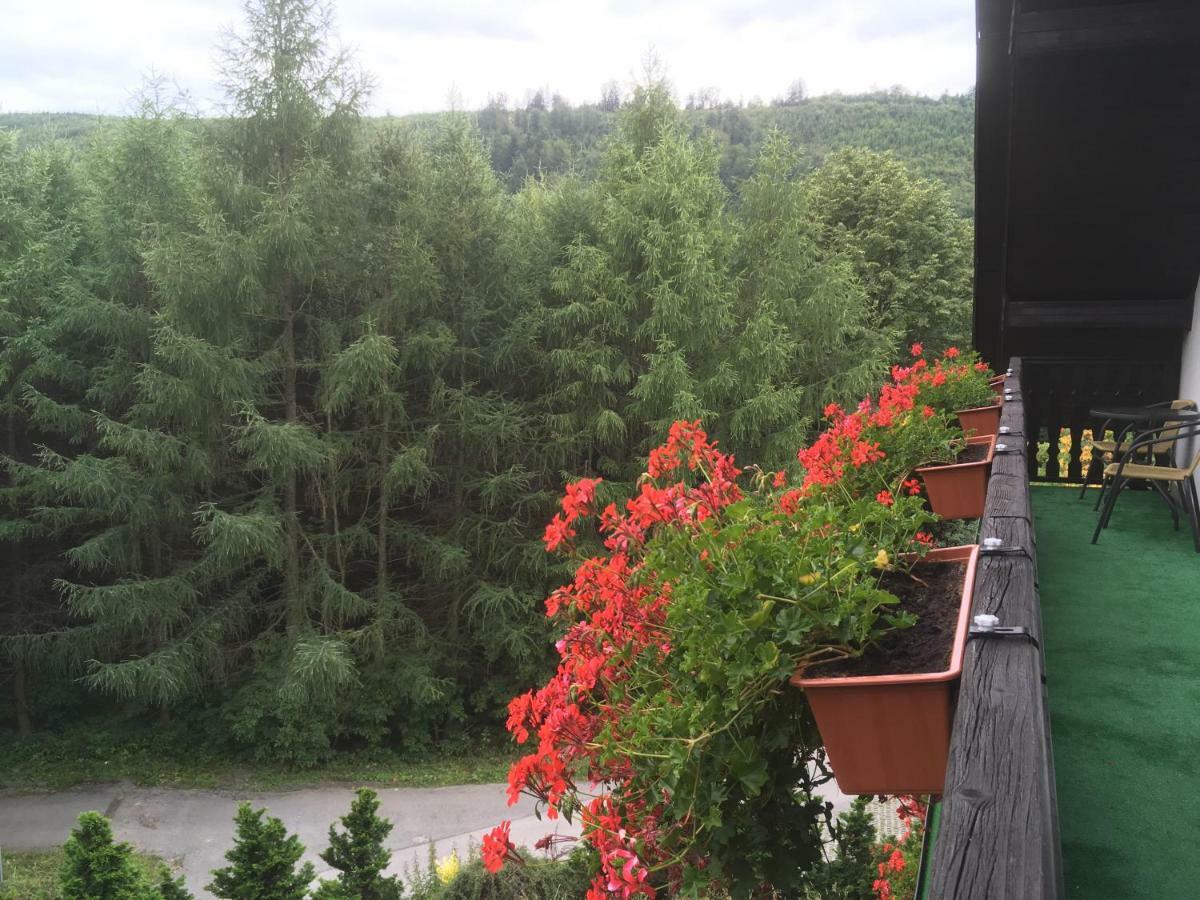 Willa Na Wzgorzu Brenna Buitenkant foto